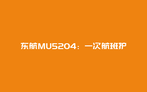 东航MU5204：一次航班护航两例人体捐献器官生命接力