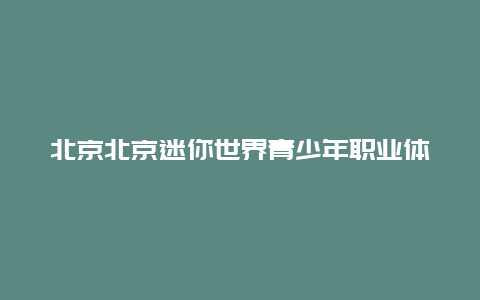 北京北京迷你世界青少年职业体验馆景点介绍