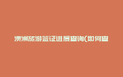 澳洲旅游签证进度查询(如何查看澳洲签证办理的进度？