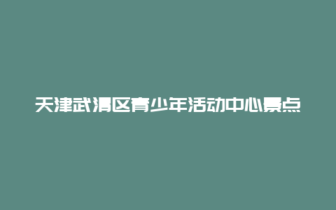 天津武清区青少年活动中心景点介绍