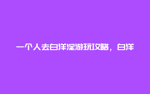 一个人去白洋淀游玩攻略，白洋淀有哪些玩的？说说，谢了