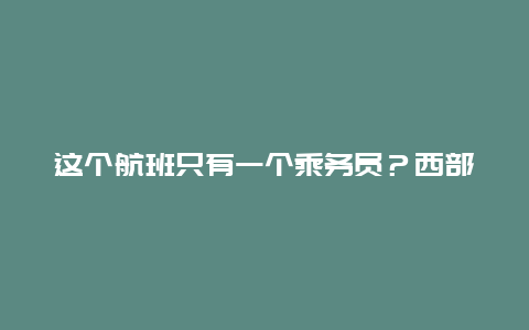 这个航班只有一个乘务员？西部航空主题航班致敬民航劳动者