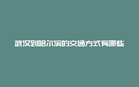 武汉到哈尔滨的交通方式有哪些？