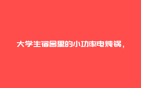 大学生宿舍里的小功率电炖锅，可以做出什么样的饭菜