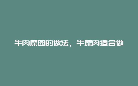 牛肉糜园的做法，牛糜肉适合做