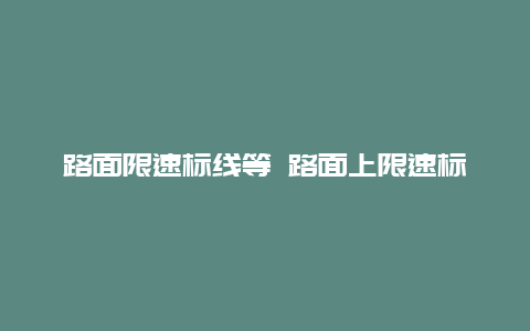 路面限速标线等 路面上限速标志