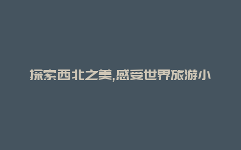 探索西北之美,感受世界旅游小姐西北赛区之旅