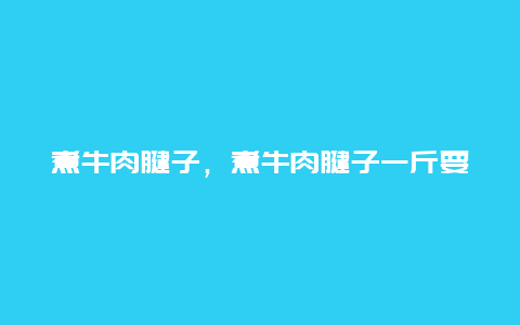 煮牛肉腱子，煮牛肉腱子一斤要放多少盐