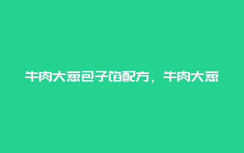 牛肉大葱包子馅配方，牛肉大葱馅包子做法