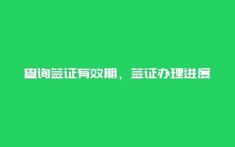 查询签证有效期，签证办理进度如何查询