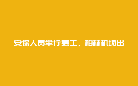 安保人员举行罢工，柏林机场出港航班全部取消