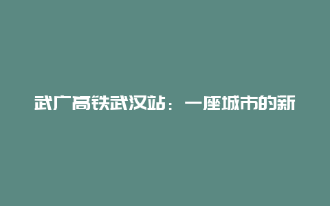 武广高铁武汉站：一座城市的新门户