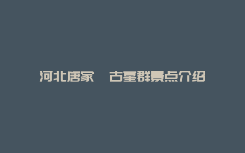 河北唐家垴古墓群景点介绍