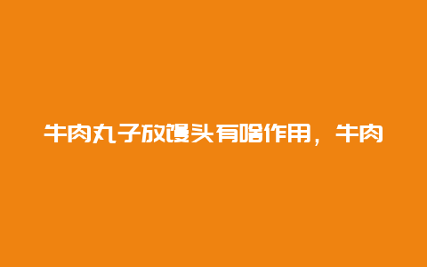 牛肉丸子放馒头有啥作用，牛肉丸子放什么好吃