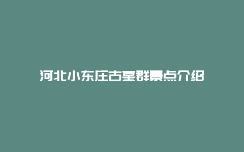 河北小东庄古墓群景点介绍