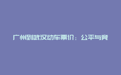 广州到武汉动车票价：公平与竞争的平衡