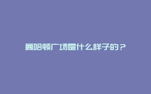 曼哈顿广场是什么样子的？