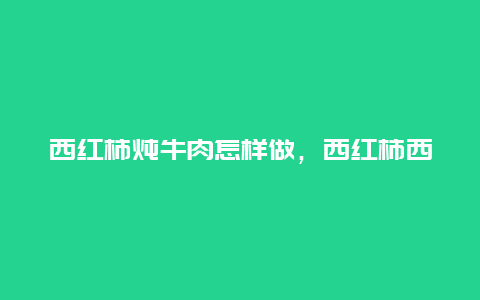 西红柿炖牛肉怎样做，西红柿西红柿炖牛肉怎么做