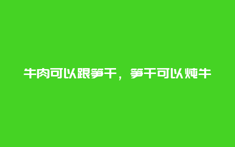 牛肉可以跟笋干，笋干可以炖牛肉吗