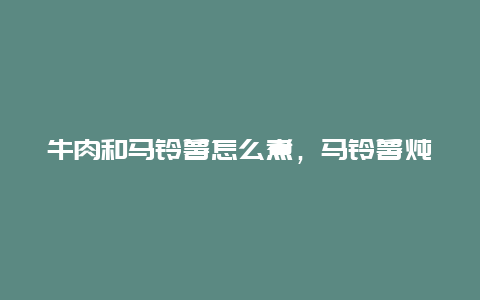 牛肉和马铃薯怎么煮，马铃薯炖牛肉