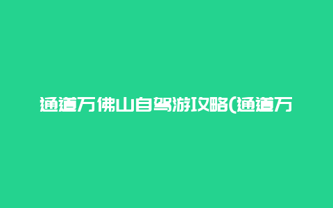 通道万佛山自驾游攻略(通道万佛山一日游攻略