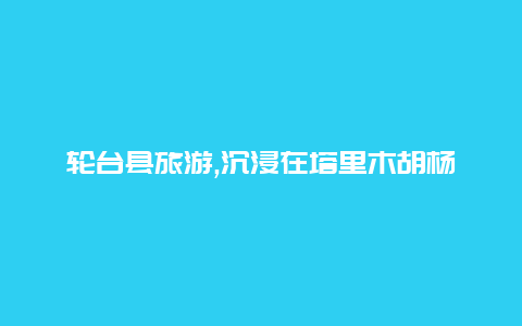 轮台县旅游,沉浸在塔里木胡杨的神秘魅力中