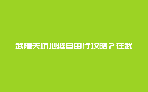 武隆天坑地缝自由行攻略？在武隆火车站出站后，如何前往天坑地缝景区？