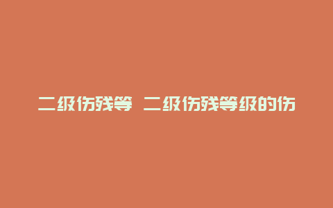 二级伤残等 二级伤残等级的伤残津贴每月为 的本人工资