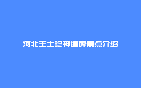 河北王士珍神道碑景点介绍