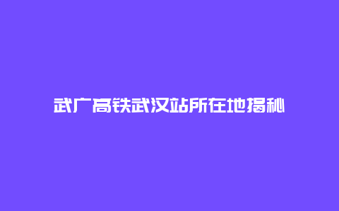 武广高铁武汉站所在地揭秘