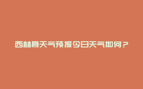 西林县天气预报今日天气如何？