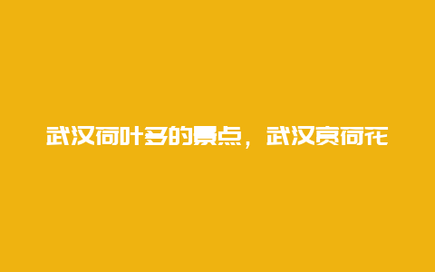 武汉荷叶多的景点，武汉赏荷花的景点