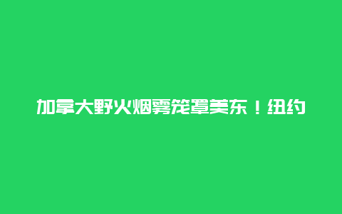 加拿大野火烟雾笼罩美东！纽约码头被迫关闭！超2500架航班延误！