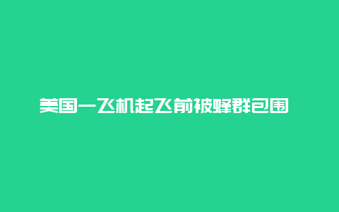 美国一飞机起飞前被蜂群包围 致航班延误约3小时