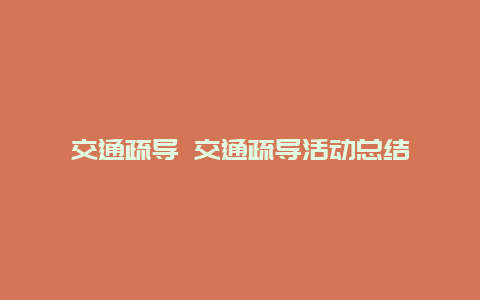 交通疏导 交通疏导活动总结