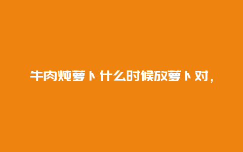 牛肉炖萝卜什么时候放萝卜对，萝卜炖牛肉该怎么炖呢,放点什么好