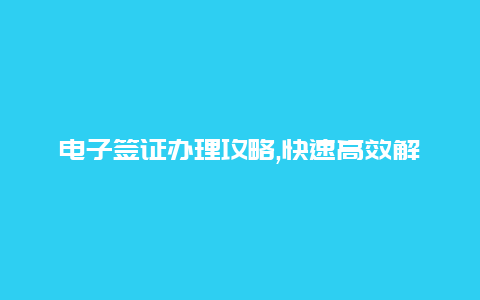 电子签证办理攻略,快速高效解决您的签证问题