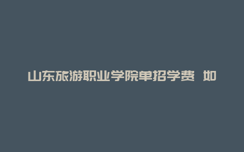 山东旅游职业学院单招学费 如果大家跟自己女朋友出去旅游费用一般怎么算的？