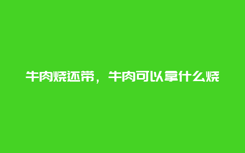 牛肉烧还带，牛肉可以拿什么烧