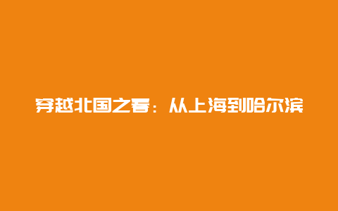 穿越北国之春：从上海到哈尔滨的火车之旅