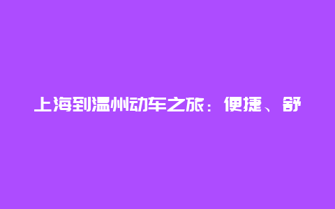 上海到温州动车之旅：便捷、舒适与美景的完美结合