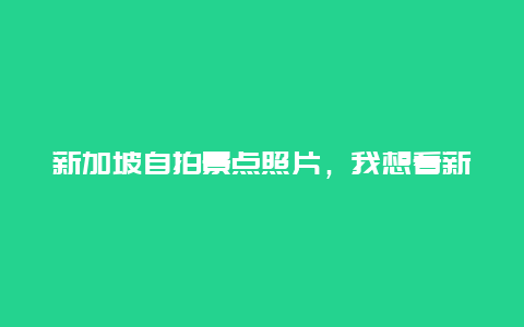 新加坡自拍景点照片，我想看新加坡的照片