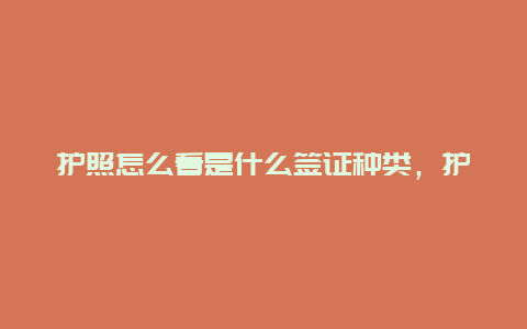 护照怎么看是什么签证种类，护照有了出国怎么签证？