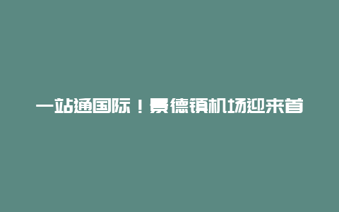 一站通国际！景德镇机场迎来首个国际通程航班团队