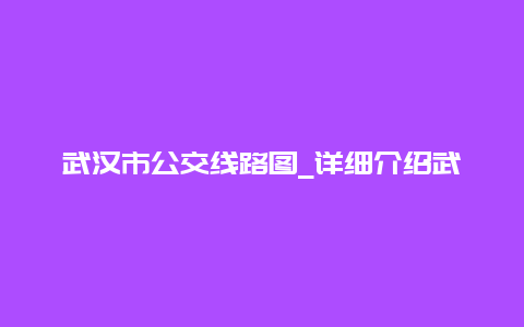 武汉市公交线路图_详细介绍武汉市公交线路及站点