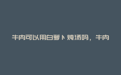 牛肉可以用白萝卜炖汤吗，牛肉可以加白萝卜炖汤吗