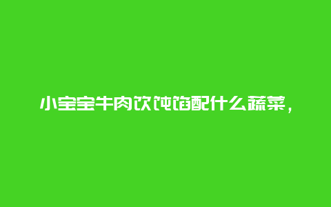 小宝宝牛肉馄饨馅配什么蔬菜，牛肉馅配什么菜包馄饨好吃