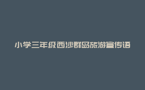 小学三年级西沙群岛旅游宣传语 介绍一个西沙群岛 的开头 该怎么写？