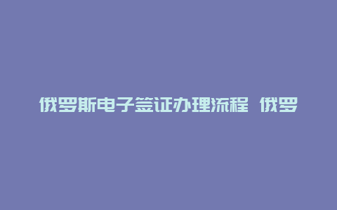 俄罗斯电子签证办理流程 俄罗斯商务签证怎么办理个人？