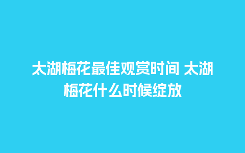 太湖梅花最佳观赏时间 太湖梅花什么时候绽放